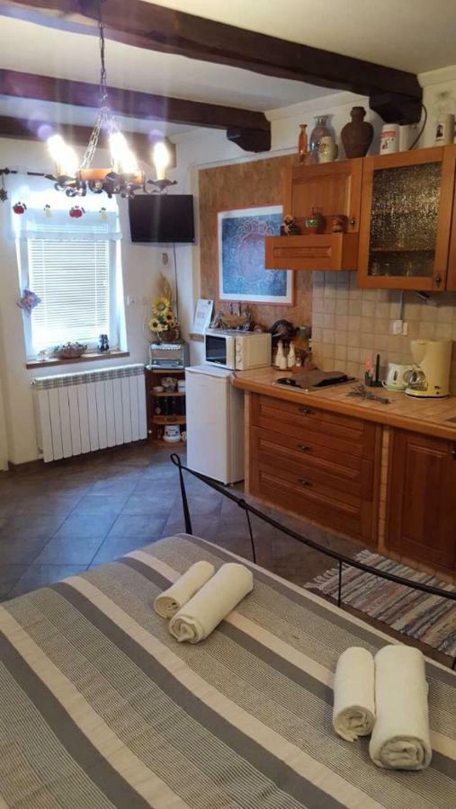 Apartman Ruza 3 Poljane ภายนอก รูปภาพ